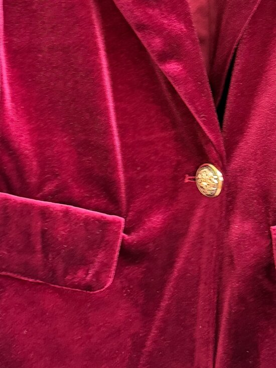 Women’s Velvet Blazer Jacket Size 18 NWOT - Picture 4 of 6